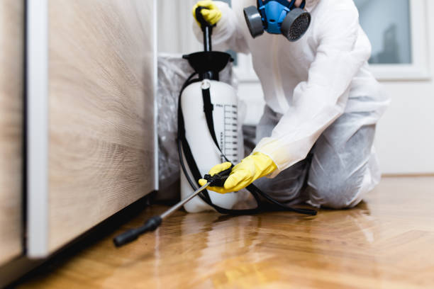 Best Local Pest Control Services  in Granite Shoals, TX