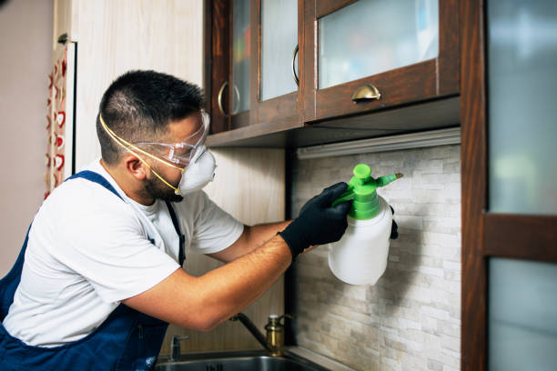 Best Pest Control Near Me in Granite Shoals, TX