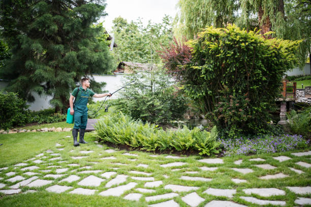 Best Affordable Pest Control Services  in Granite Shoals, TX