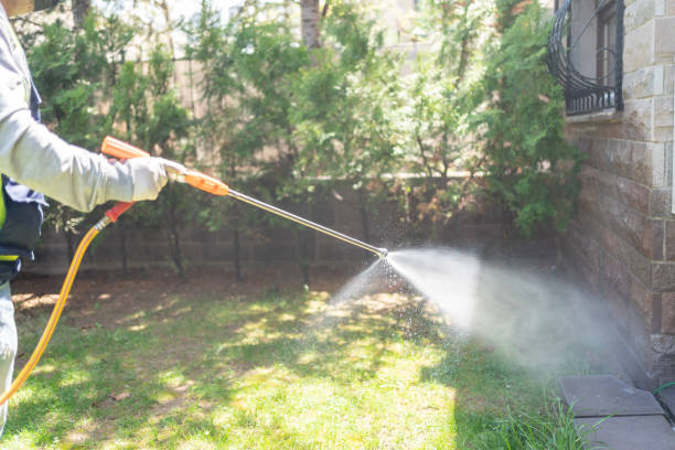 Insect Control in Granite Shoals, TX