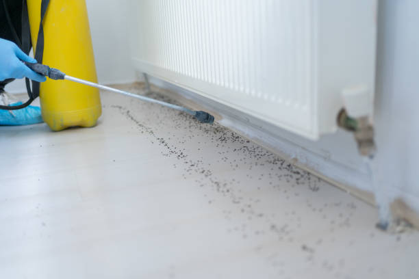 Pest Control for Restaurants in Granite Shoals, TX
