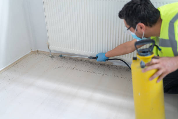 Professional Pest Control in Granite Shoals, TX